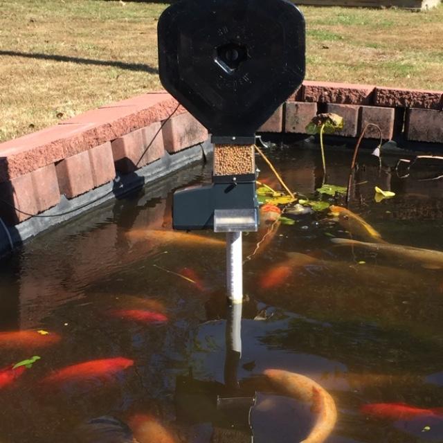 ksf-2xl-in-middle-of-pond.jpeg ksf-2xl-in-middle-of-pond.jpeg